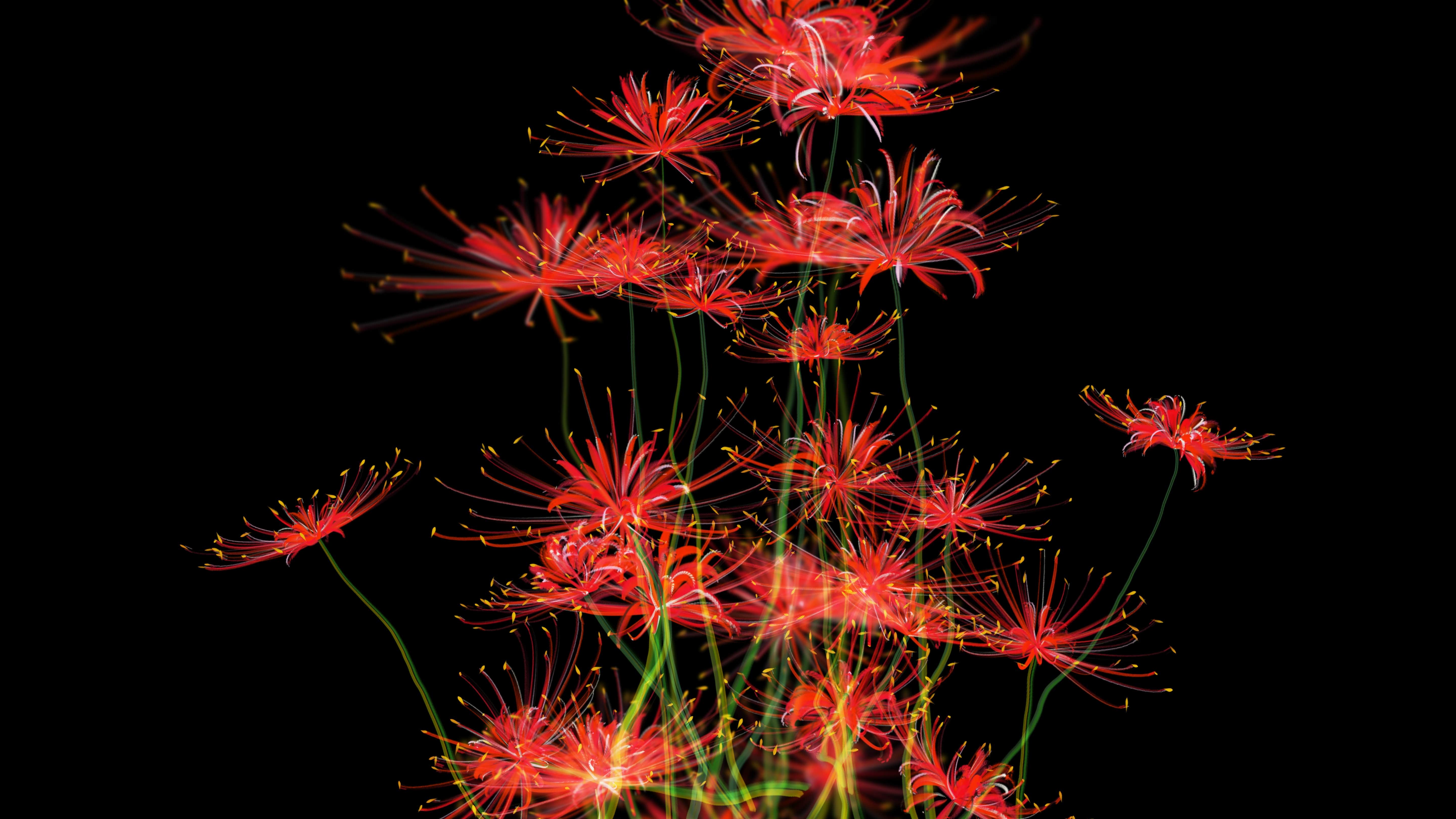 在數位世界創造永恆的生命與情感